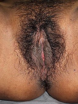 hairy pussies close up porn pic