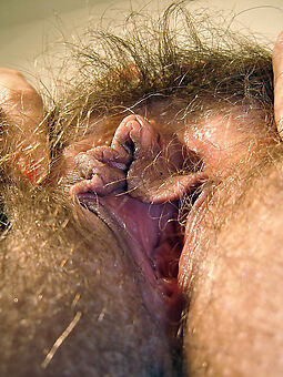 hairy clits porn pics